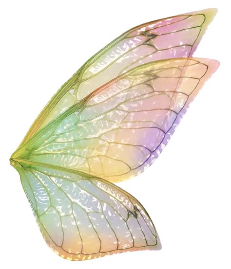 Realistic Fairy Wings Png Free Logo Image