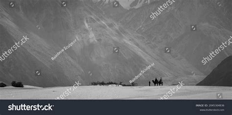 Cold Desert Nubra Valley Ladakh India Stock Photo 2045304836 Shutterstock