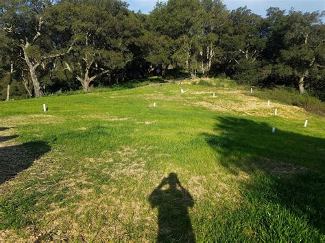 A septic drainfield that has become saturated for any reason is no longer functional. Best use over a septic leach field? - Lavender Field ...