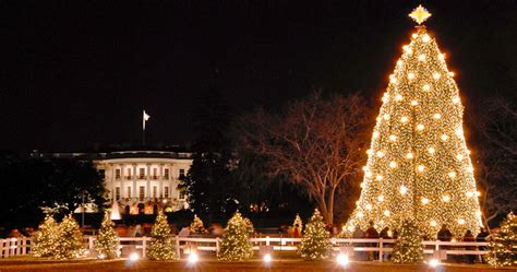 Christmas tree in front of capitol washington dc. Christmas in Washington, DC: Holiday Traditions and Festivities