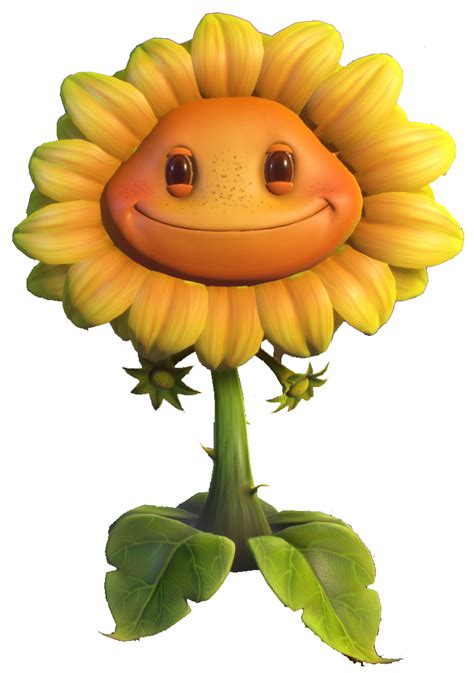 image hd sunflower gw2 png plants vs zombies wiki fandom powered by wikia