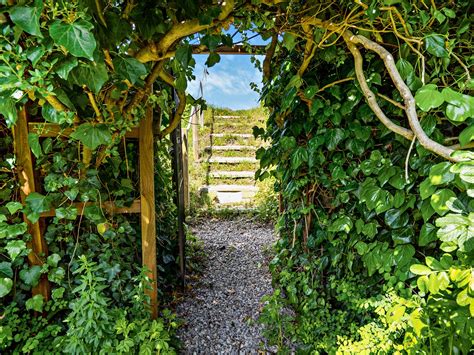 Beachfront Hidden Gem, Knott End on Sea | Beach Stays