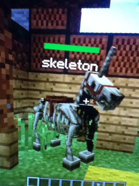 How to remove agent minecraft education edition! Pin by Mabel Pines on Skeleton (awesome bow!) | Minecraft ...