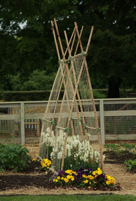 Vegetable Garden Trellis Designs And Ideas Blog About Gardening