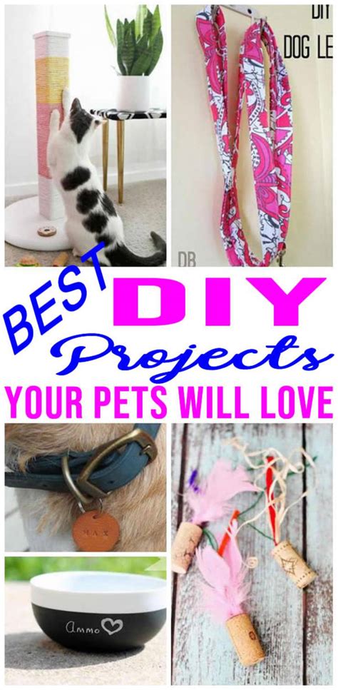 Diy Pet Projects Awesome Ideas Easy Simple Crafts And Fun Tutorials