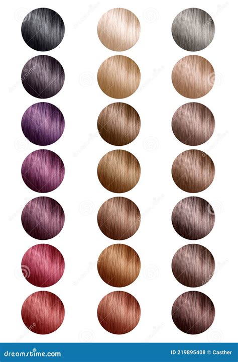 Color Chart For Hair Dye Tints Hair Color Palette With A Range Of