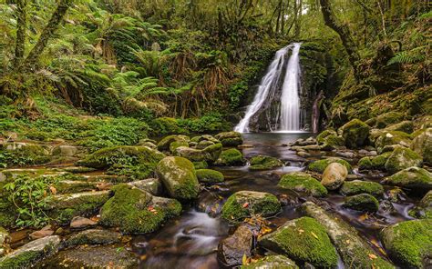 Waterfall Moss Rocks Stones Forest Jungle Stream Green Hd Wallpaper