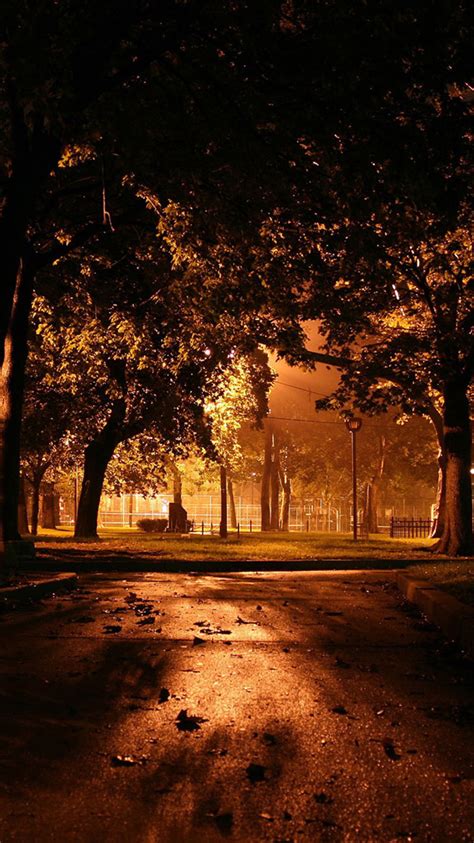 Maybe you would like to learn more about one of these? 25 Fall iPhone Wallpapers