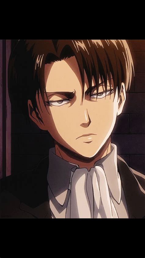 Levi Ackerman Gato Anime Manga Anime Anime Art Anime Sasuke