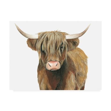 Trademark Fine Art Highland Cattle Ii Canvas Art By Grace Popp