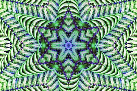 Green And Blue Fern Mosaic Digital Art By Errol Dsouza Fine Art America