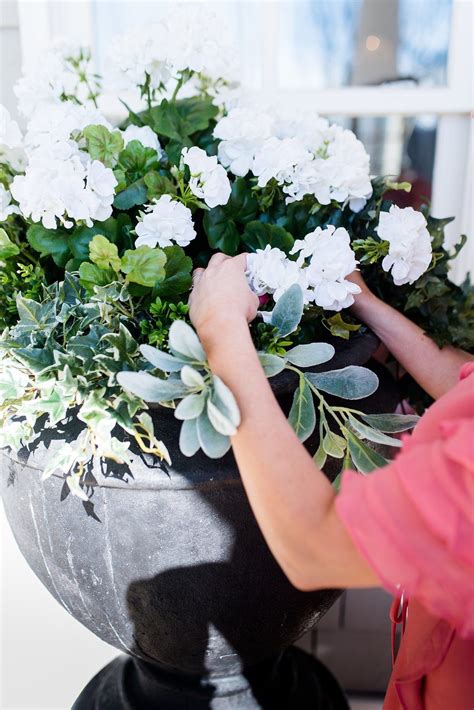 Check spelling or type a new query. I put fake flowers outside. But can you tell? I dare you ...