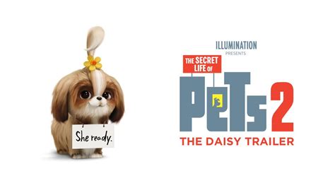 Thesecretlifeofpets On Twitter Tmblover101 She Ready Welcoming