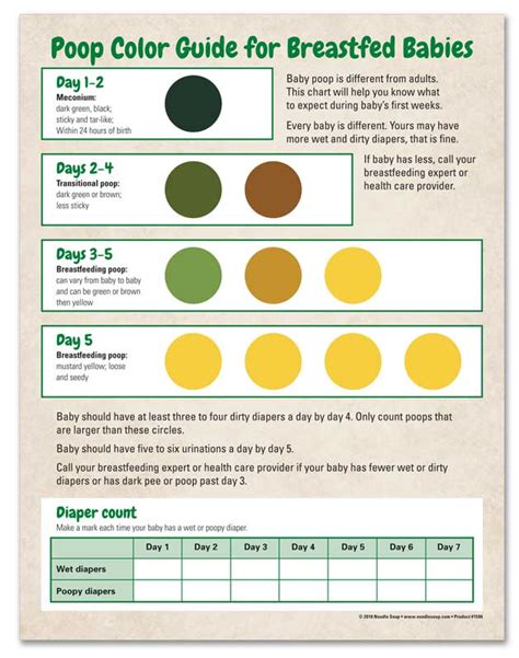 Color Of Your Poop Chart Baby Poop Color What Do They Mean And When