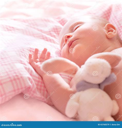Newborn Baby Sleeps Stock Image Image Of Child Born 43760579