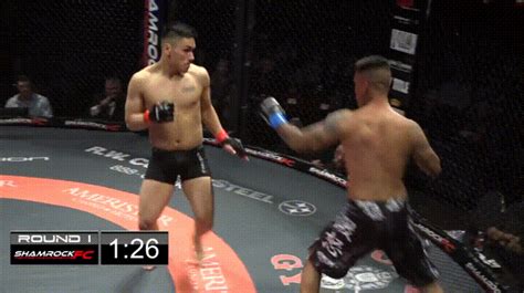 Knockout  Find And Share On Giphy