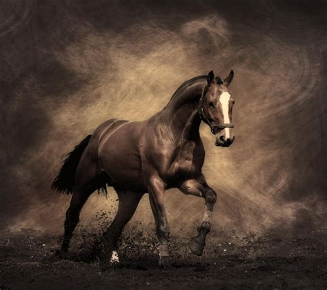 46 Horses Live Wallpaper Wallpapersafari