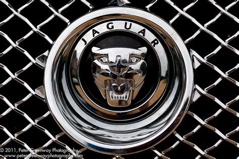 Jaguar Car Grill Badge Jaguar Car Grill Badge Photographe Flickr