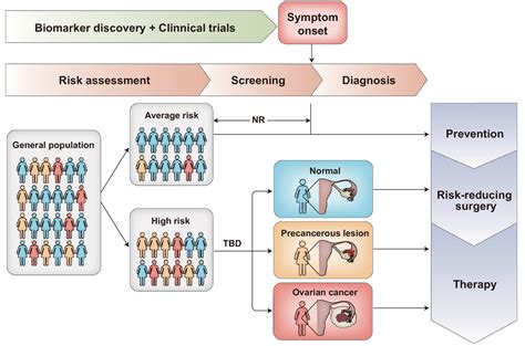 Multi Omics Approaches For Biomarker Discovery In Early Ovarian Cancer Diagnosis Ebiomedicine