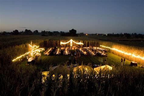 Say your vows in our elegant ceremony house or hold an outdoor wedding under a canopy of trees. Wedding in a corn field. Top view. | Field wedding ...