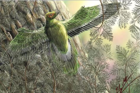 Art Illustration Prehistoric Birds Eoalulavis It Is A Genus Of
