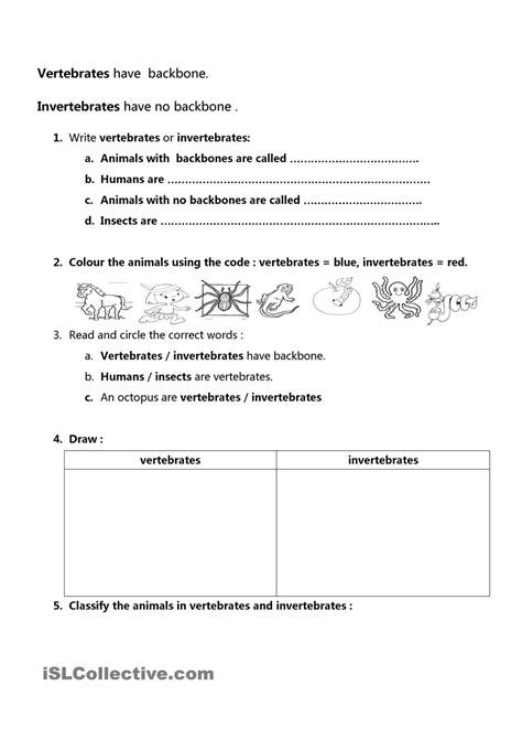 vertebrates and invertebrates | Vertebrates and invertebrates, Science