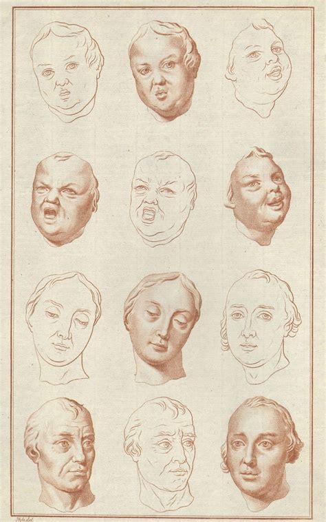 Figure Drawing Anatomical Prints By Johann Daniel Preissler