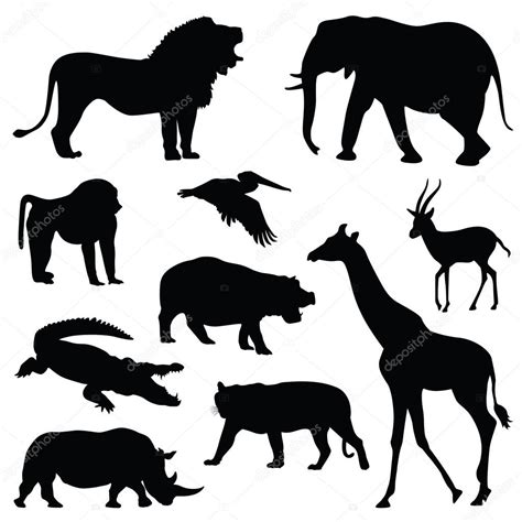 Safari Animal Silhouette Illustration Set Stock Vector Image By
