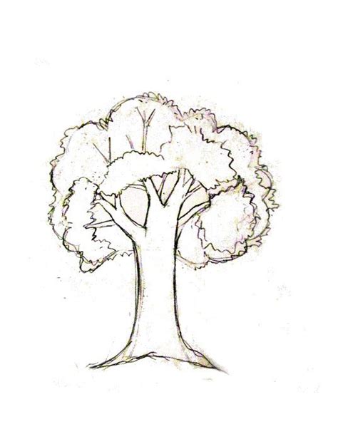 Pencil Drawing Simple Tree Bestpencildrawing