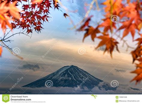 Mt Fuji In Autumn Behind The Red Maple Tree From Lake Kawaguchiko In