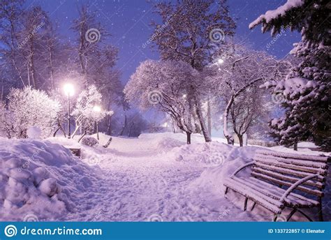 Beautiful Winter Night Landscape Of Snow Covered Bench