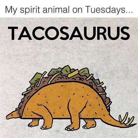 Happy Humor Taco Tuesday Humourve