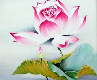 Image result for trang hinh dong trang va hoa dep images