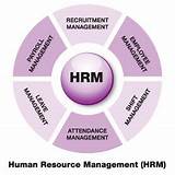 Hr Role In Payroll Management Images