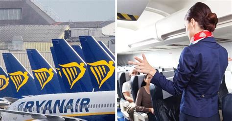 ‘ryanair passenger filmed ‘performing sex act on man mid flight by stunned traveller daily star