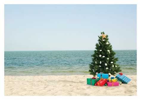 Christmas Tree On Beach Tag Palm Press