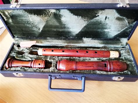 Dolmetsch 1924 tenor recorder after Stanesby — Recorders for sale