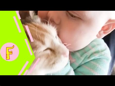 Vicats Very Important Cats Cats Meeting Babies For The First Time