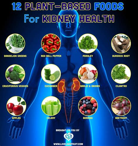 It carries flavonoids that help to regulate blood pressure level, to repair body tissues and blood vessels, and to manage the level of cholesterol inside the body. 12 Plant-Based Foods To Improve The Health of Your Kidneys ...