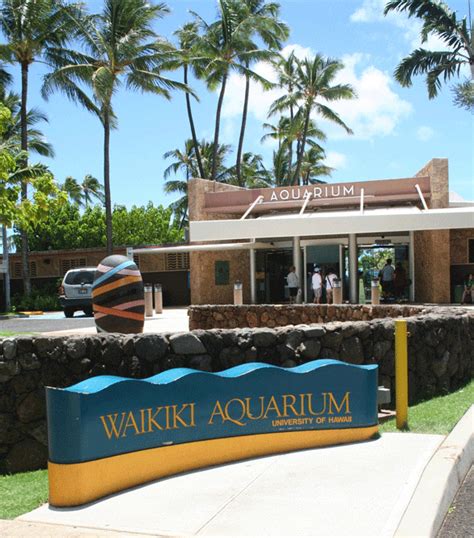Waikiki Aquarium Oahu Hawaii Great Place To See The Marine Life