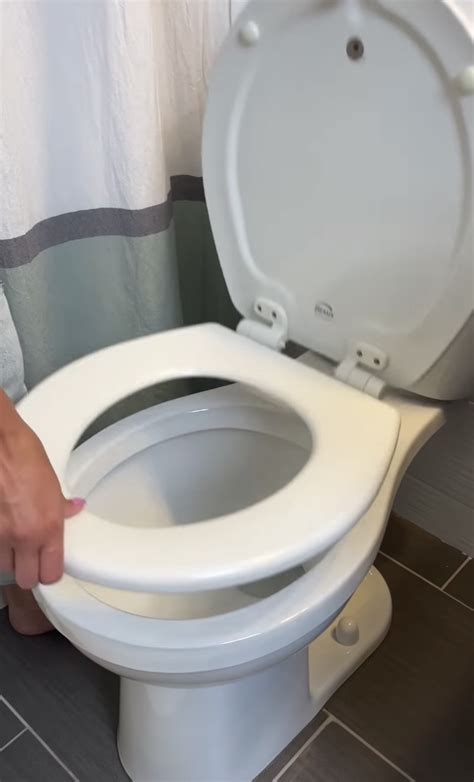 Diabolical Viral Tiktok Hack For Cleaning Your Toilet Sparks Disgust