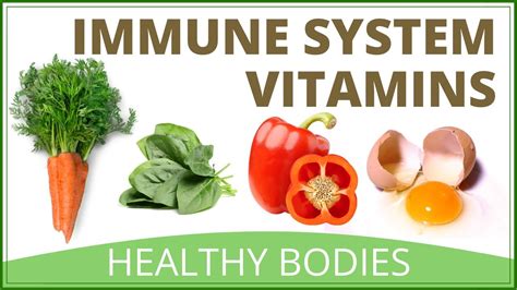 Vitamins For Immune System Immune Boosting Vitamins Youtube