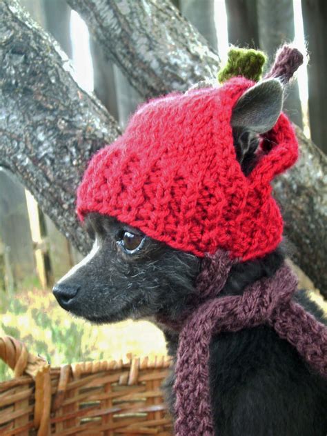 Dog Gone It Anywear Hand Knits For Dogs Hat Knitting Patterns Loom