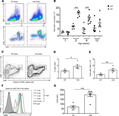 Jci Insight Splenic Ly6chi Monocytes Are Critical Players In