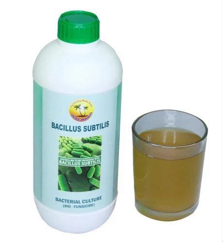 Brown Bacillus Subtilis Liquid Drum Packaging Size 50 Litre At Rs 80