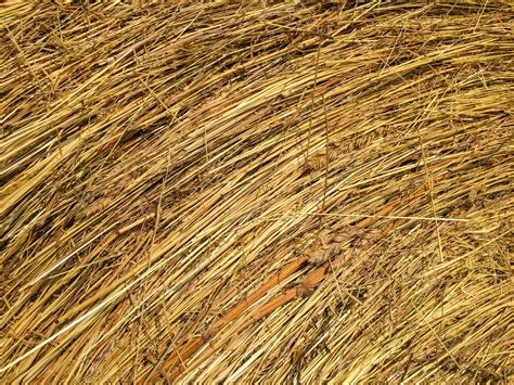 Straw Bale Texture Free Stock Photo Public Domain Pictures