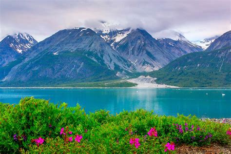 Glacier Bay Nationalpark In Alaska Usa Franks Travelbox