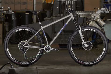 Titanium Hardtail 29er Frame