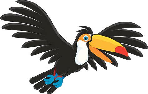 Royalty Free Toucan Flying Cartoon Clip Art Vector Images