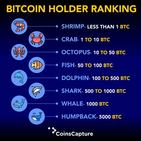 Best cryptocurrencies for investment in 2021. Bitcoin Holder Ranking in 2020 | Bitcoin, Cryptocurrency ...